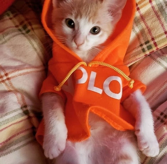 kellpdx
